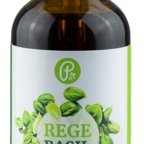 7611-2_regebasil-vysoko-ucinna-vlasova-kura-100-50ml