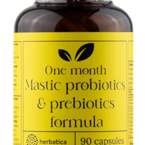 9067_masticha-probiotics-prebiotics-90-kapsul