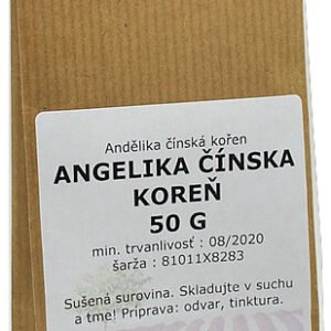 F-Dental Hodonin Angelika čínska 200g koreň