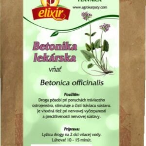 Agrokarpaty Betonika lekárska 30g - vnať