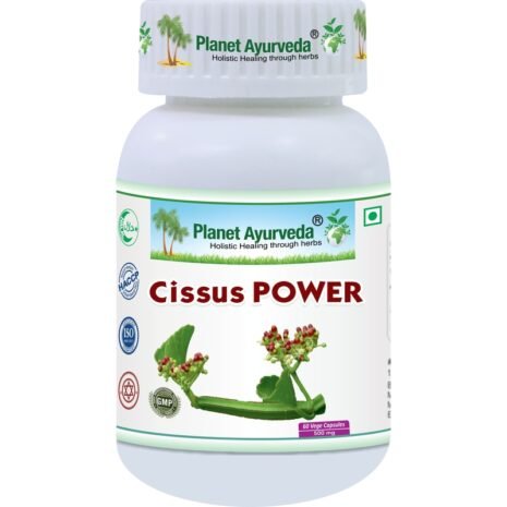 cissus-power