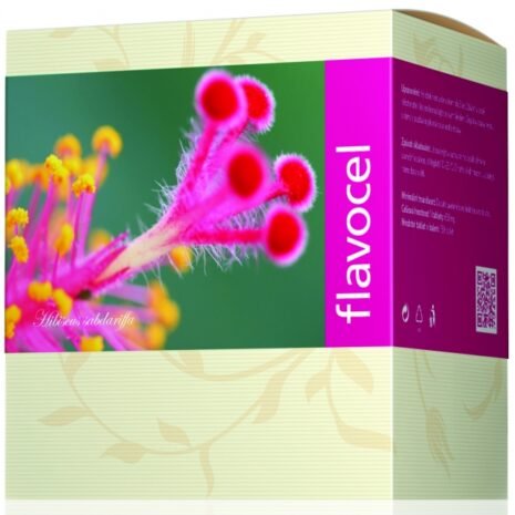 flavocel-energy flavocel-energy