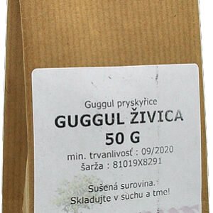 F-Dental Hodonin Guggul živica 50g - živica