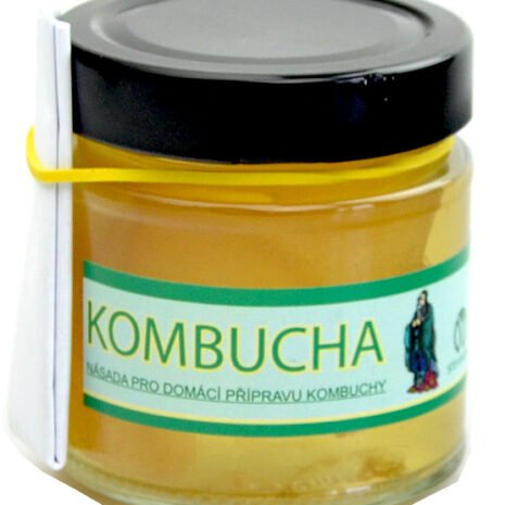 kombucha-nasada