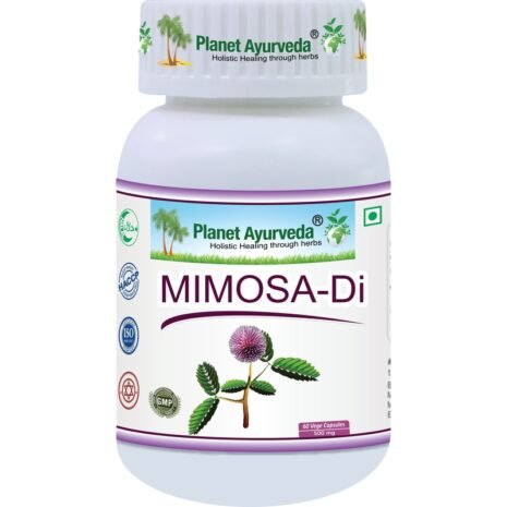 mimosa-di mimosa-di