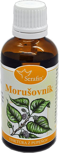 morusovnik morusovnik