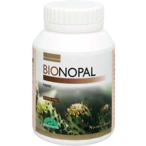 nopal nopal