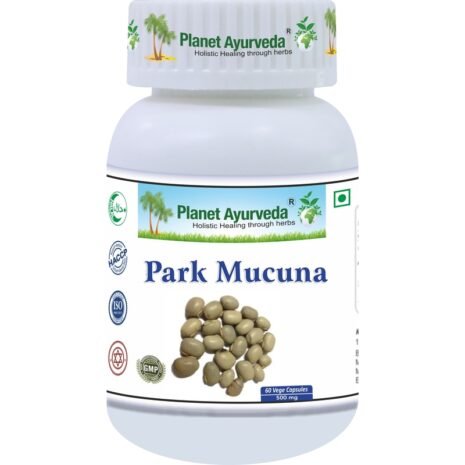 park-mucuna-podpora-parkinsonvej-choroby park-mucuna-podpora-parkinsonvej-choroby