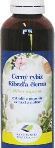 Rabštejnská Apatyka Ríbezľa čierna 50ml - Extrakt z pukov