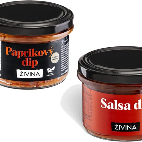 salsa-dip