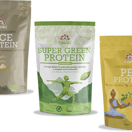 vegan-protein-bio