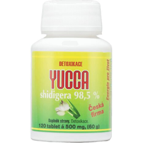 yucca1